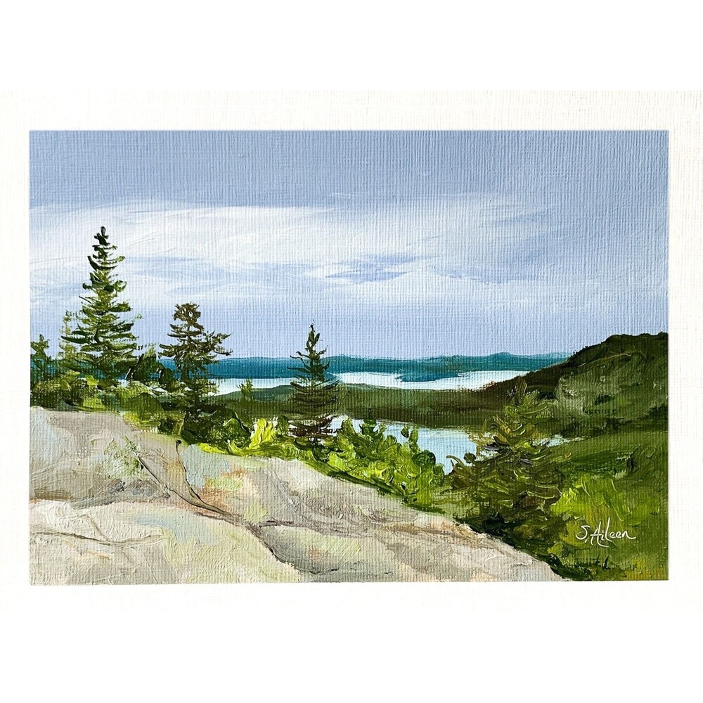 6x8 Original Oil Landscape Painting Pine Trees Rock Forest View Acadia Signed